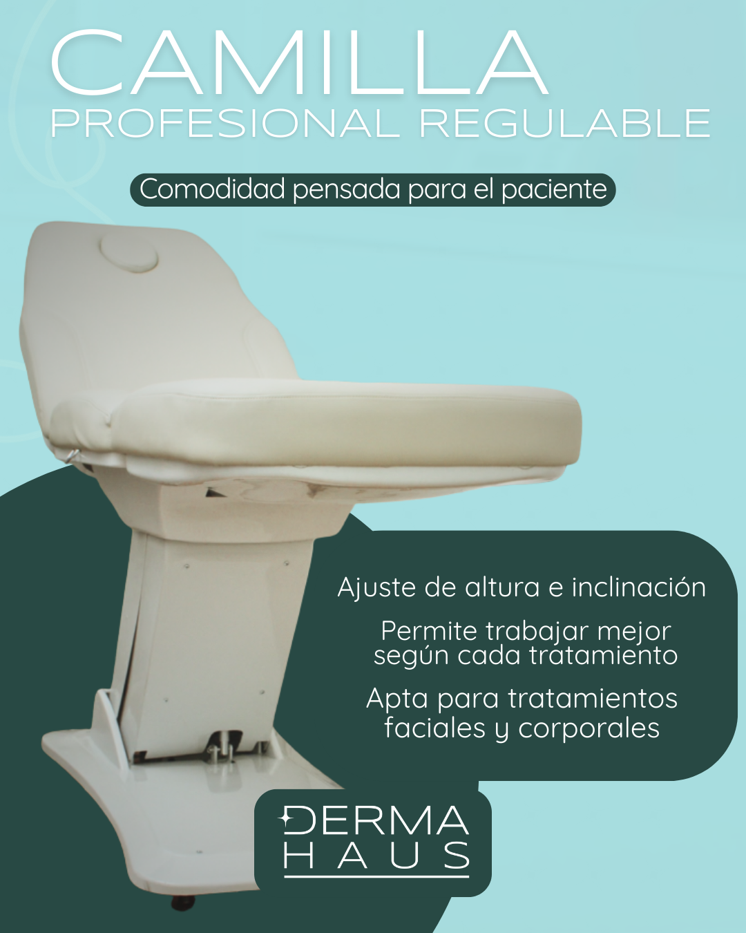 Camilla Eléctrica Profesional