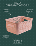 Caja Organizadora Plástico