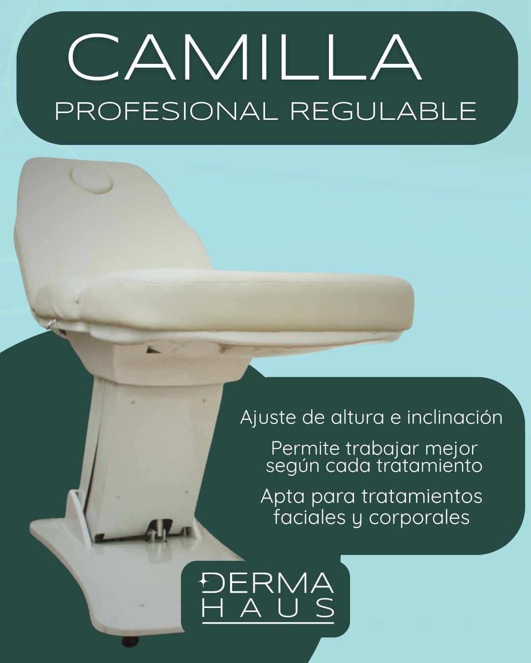 Camilla Eléctrica Profesional