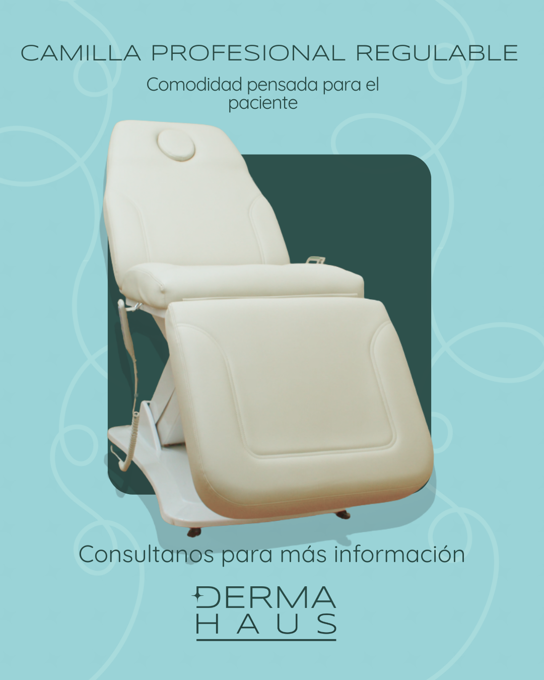 Camilla Eléctrica Profesional